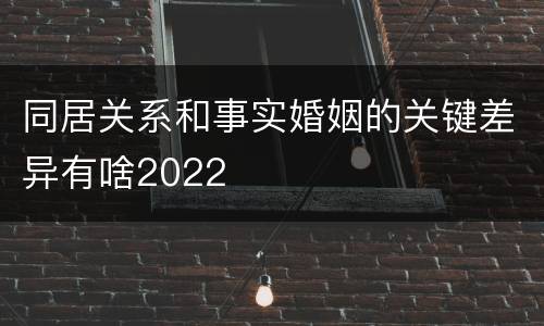 同居关系和事实婚姻的关键差异有啥2022