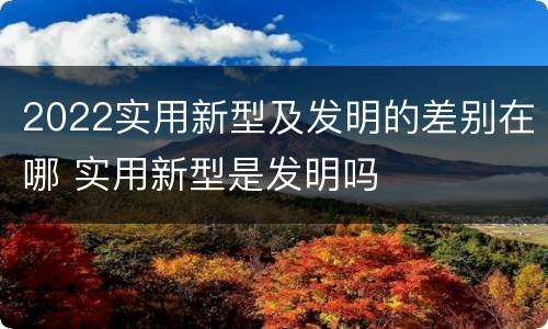 2022实用新型及发明的差别在哪 实用新型是发明吗