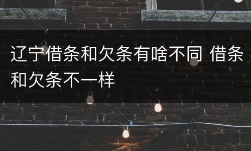 辽宁借条和欠条有啥不同 借条和欠条不一样
