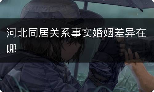 河北同居关系事实婚姻差异在哪
