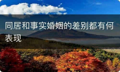 同居和事实婚姻的差别都有何表现