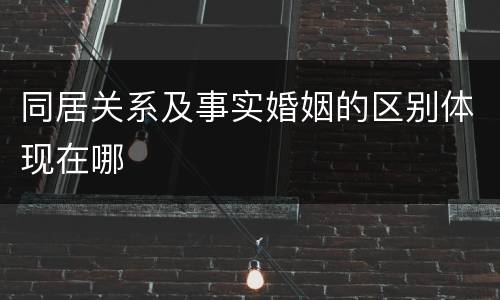 同居关系及事实婚姻的区别体现在哪