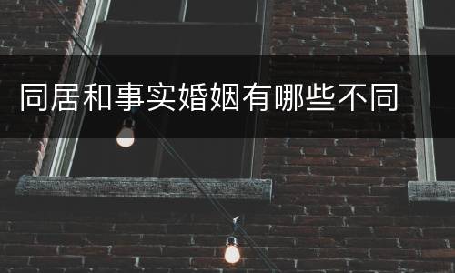 同居和事实婚姻有哪些不同