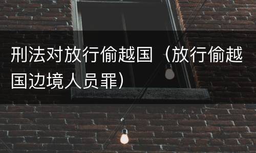 刑法对放行偷越国（放行偷越国边境人员罪）
