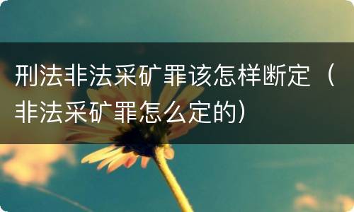 刑法非法采矿罪该怎样断定（非法采矿罪怎么定的）