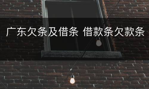 广东欠条及借条 借款条欠款条