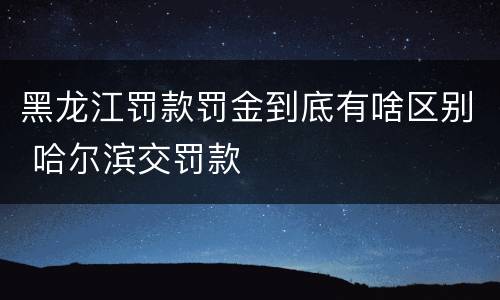 黑龙江罚款罚金到底有啥区别 哈尔滨交罚款