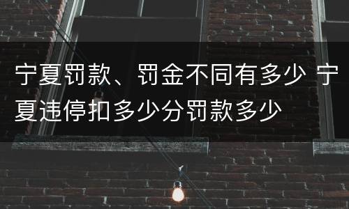 宁夏罚款、罚金不同有多少 宁夏违停扣多少分罚款多少