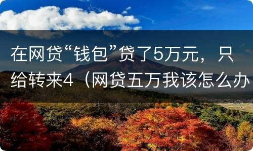 在网贷“钱包”贷了5万元，只给转来4（网贷五万我该怎么办）
