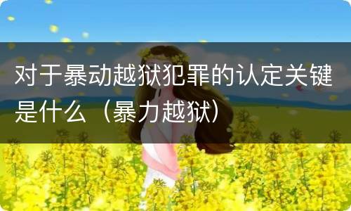 对于暴动越狱犯罪的认定关键是什么（暴力越狱）