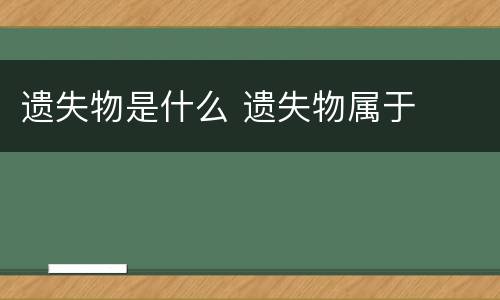 遗失物是什么 遗失物属于