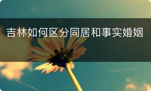 吉林如何区分同居和事实婚姻