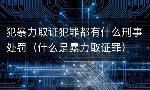犯暴力取证犯罪都有什么刑事处罚（什么是暴力取证罪）