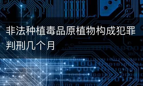 非法种植毒品原植物构成犯罪判刑几个月