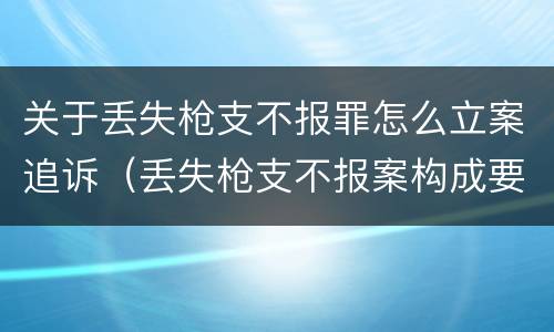关于丢失枪支不报罪怎么立案追诉（丢失枪支不报案构成要件）
