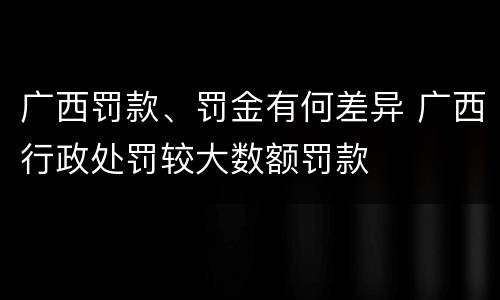 广西罚款、罚金有何差异 广西行政处罚较大数额罚款