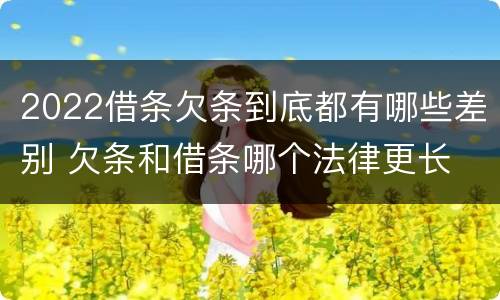 2022借条欠条到底都有哪些差别 欠条和借条哪个法律更长