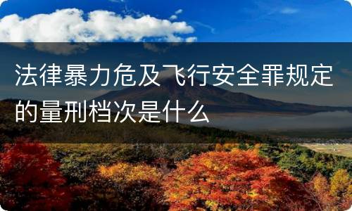 法律暴力危及飞行安全罪规定的量刑档次是什么