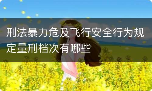 刑法暴力危及飞行安全行为规定量刑档次有哪些