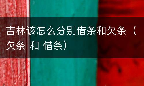 吉林该怎么分别借条和欠条（欠条 和 借条）