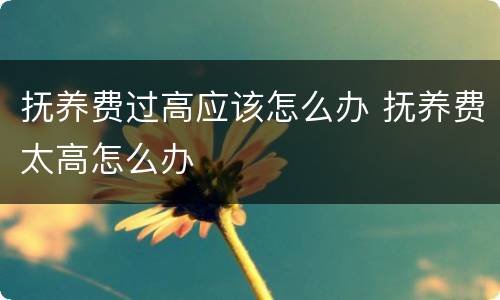 抚养费过高应该怎么办 抚养费太高怎么办