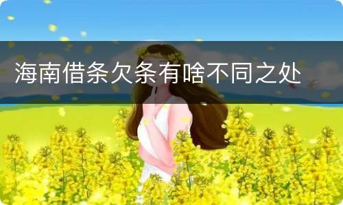 海南借条欠条有啥不同之处