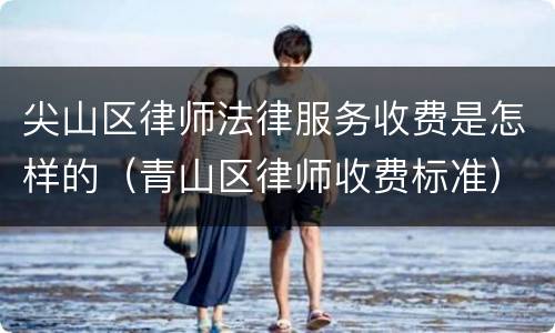 尖山区律师法律服务收费是怎样的（青山区律师收费标准）