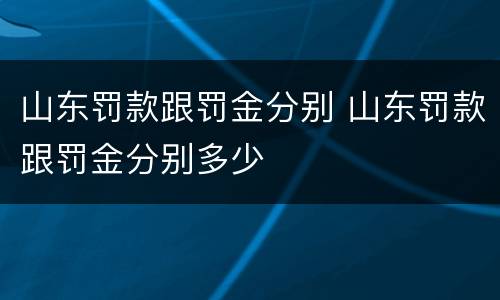 山东罚款跟罚金分别 山东罚款跟罚金分别多少