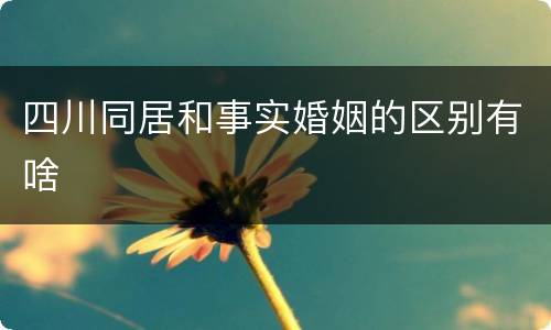 四川同居和事实婚姻的区别有啥