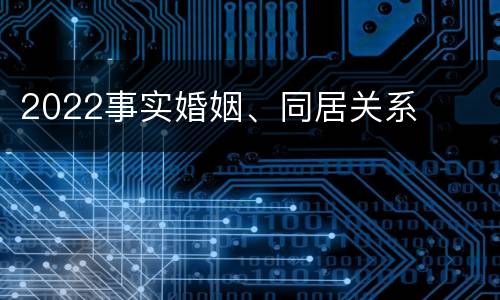 2022事实婚姻、同居关系