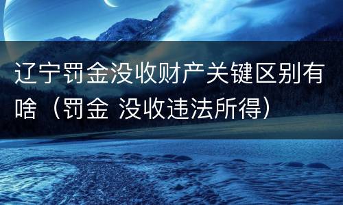 辽宁罚金没收财产关键区别有啥（罚金 没收违法所得）