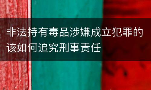 非法持有毒品涉嫌成立犯罪的该如何追究刑事责任