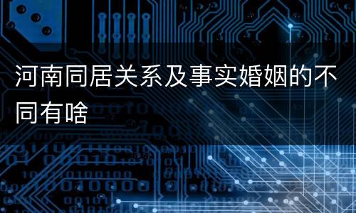 河南同居关系及事实婚姻的不同有啥