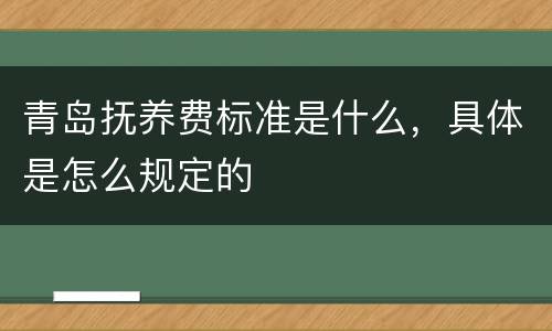 青岛抚养费标准是什么，具体是怎么规定的