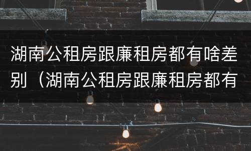 湖南公租房跟廉租房都有啥差别（湖南公租房跟廉租房都有啥差别吗）