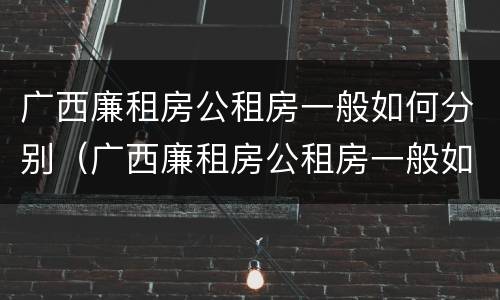 广西廉租房公租房一般如何分别（广西廉租房公租房一般如何分别摇号）