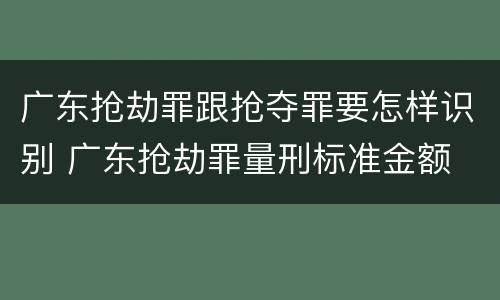 广东抢劫罪跟抢夺罪要怎样识别 广东抢劫罪量刑标准金额