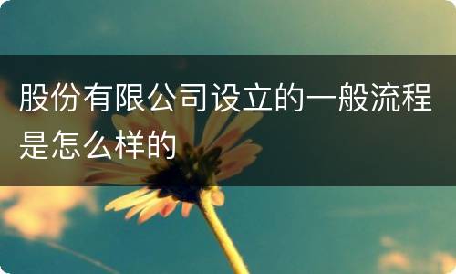 股份有限公司设立的一般流程是怎么样的