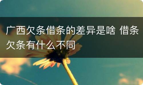 广西欠条借条的差异是啥 借条欠条有什么不同
