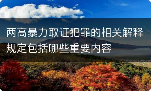 两高暴力取证犯罪的相关解释规定包括哪些重要内容