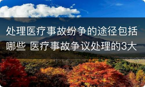 处理医疗事故纷争的途径包括哪些 医疗事故争议处理的3大的途径