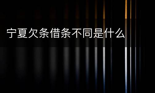 宁夏欠条借条不同是什么