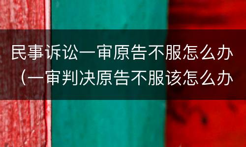 民事诉讼一审原告不服怎么办（一审判决原告不服该怎么办）