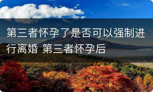 第三者怀孕了是否可以强制进行离婚 第三者怀孕后