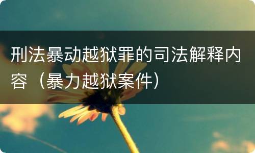 刑法暴动越狱罪的司法解释内容（暴力越狱案件）