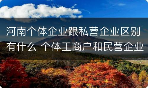 河南个体企业跟私营企业区别有什么 个体工商户和民营企业