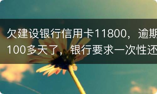欠建设银行信用卡11800，逾期100多天了，银行要求一次性还款怎么办