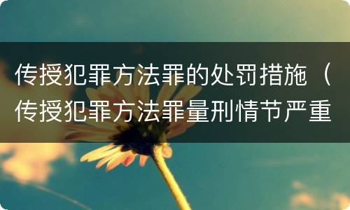 传授犯罪方法罪的处罚措施（传授犯罪方法罪量刑情节严重）