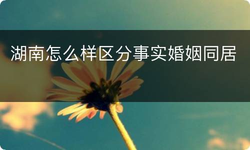 湖南怎么样区分事实婚姻同居