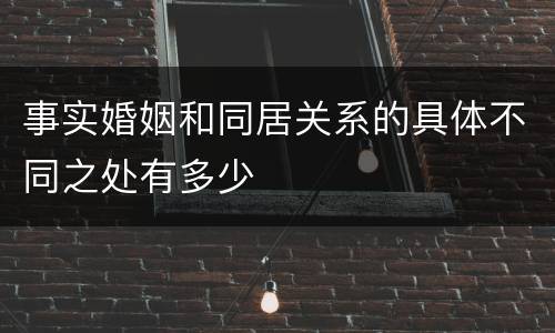 事实婚姻和同居关系的具体不同之处有多少
